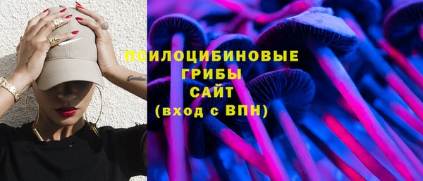 винт Алзамай